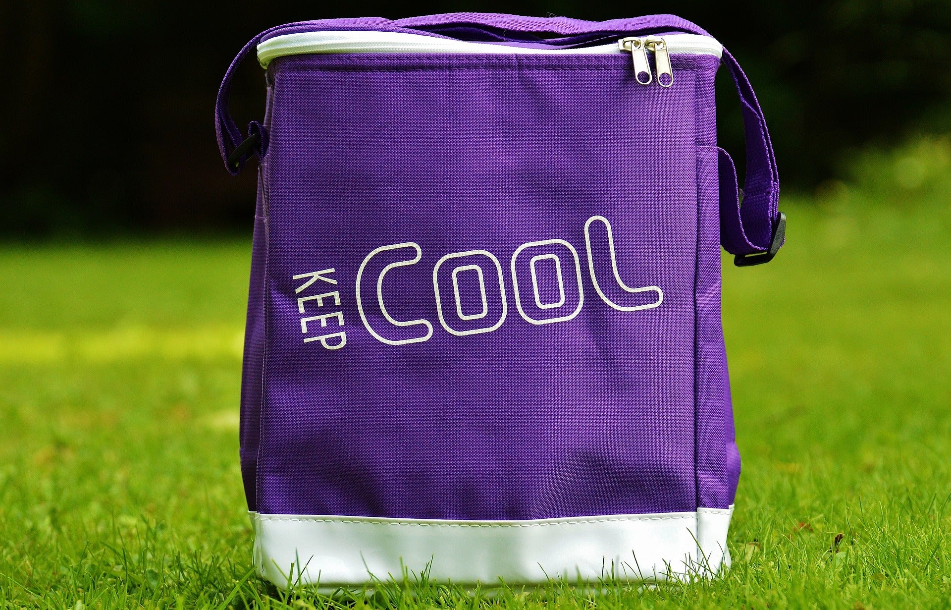 Trendy Insulated Round Cooler Bags