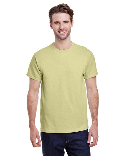 g200-adult-ultra-cotton-6-oz-t-shirt-2xl-2XL-PISTACHIO-Oasispromos