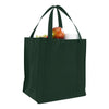 tfb57-grocery-bag-Red-Oasispromos